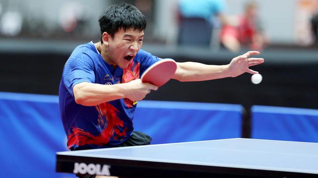 的调配作用 的调配作用